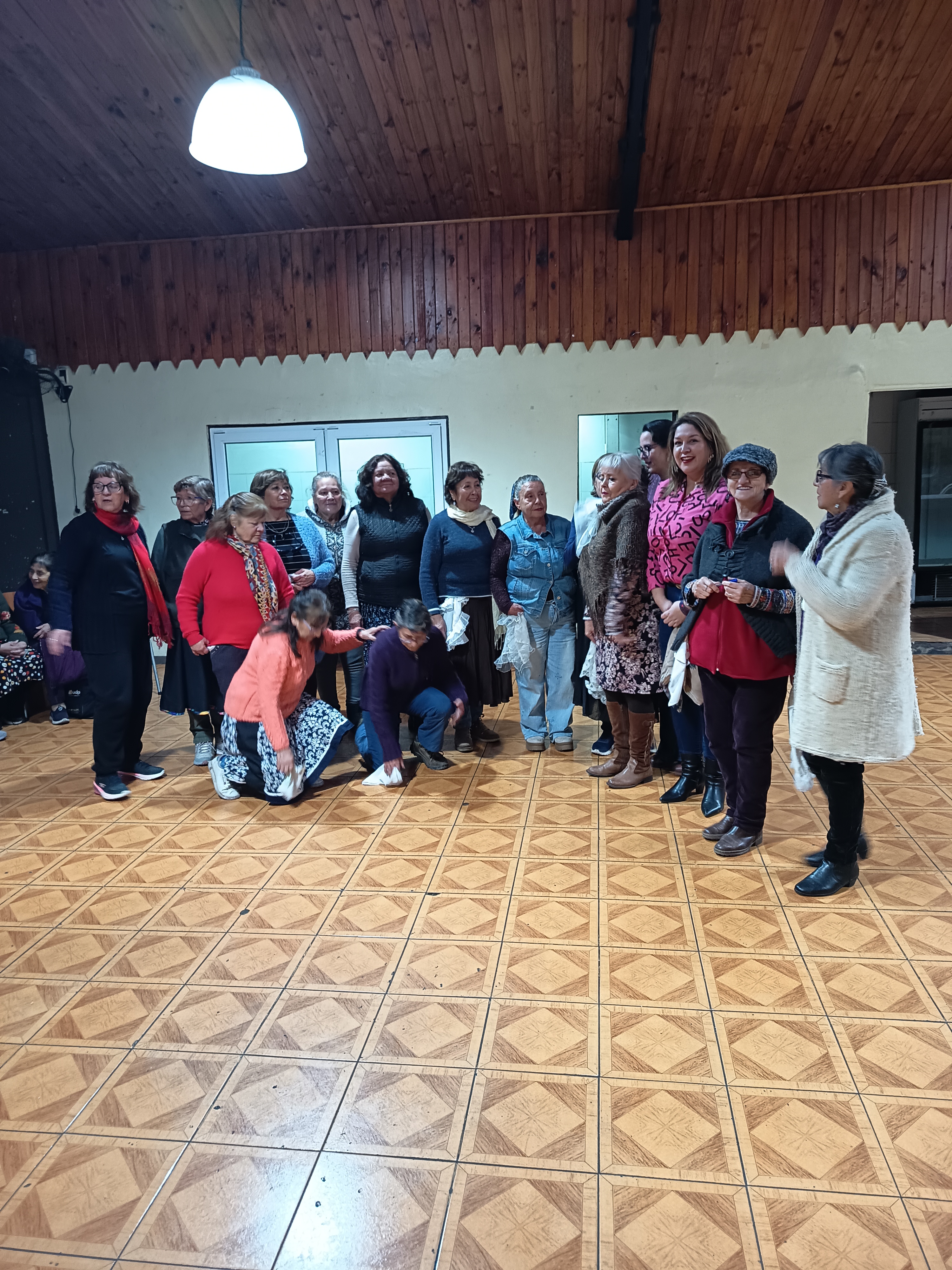 Renca Unidad Vecinal 15